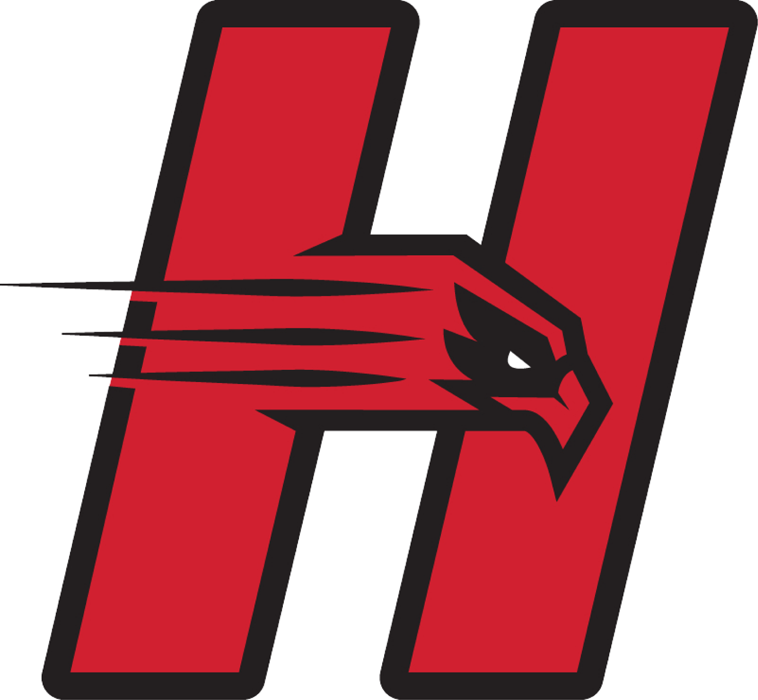 Hartford Hawks 2015-Pres Primary Logo DIY iron on transfer (heat transfer)